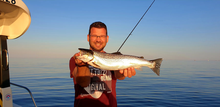 Abendtour-Meerforelle Abendtour-Meerforelle